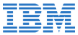 IBM logo